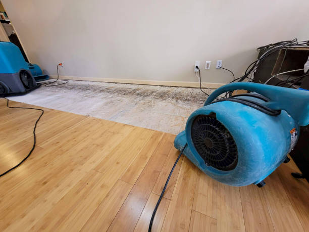 Professional Flood Damage Cleanup technician working in Lowman, ID